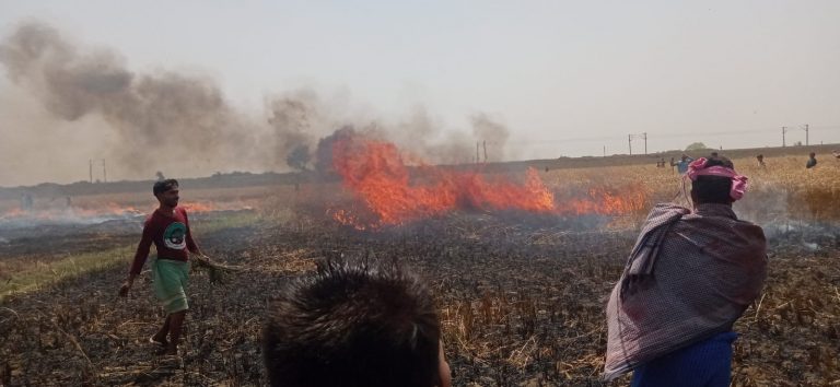 भागलपुर में भीषण आग ने मचाई तबाही, 50 एकड़ फसल और घर जलकर राख