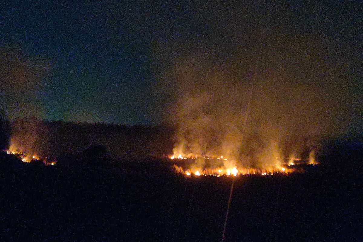 दामोदर (बुढ़ीडीह-वास्तेजी) तट के पास लगी आग