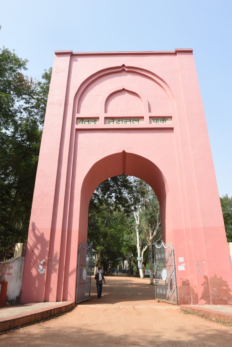 शिविर में 50 से अधिक पशुओं की जांच