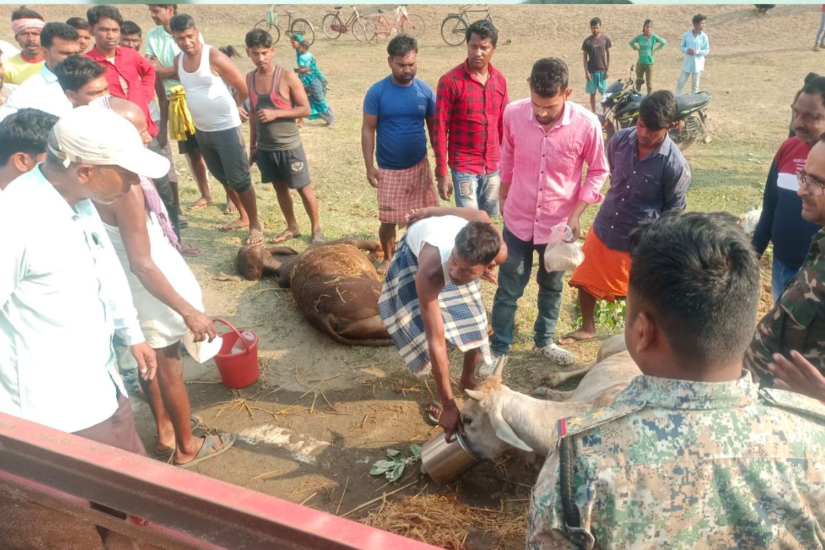 घटना स्थल पर पहुंची पुलिस