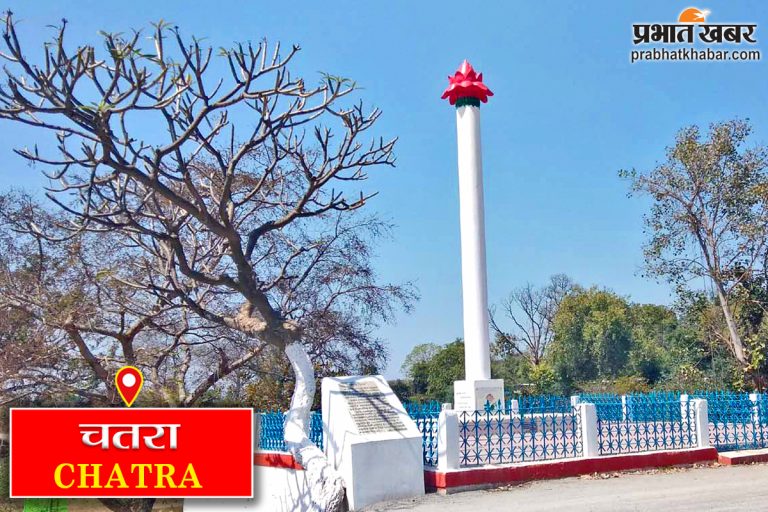 Jharkhand News: चतरा में अनियंत्रित ट्रक पेड़ से टकराया, चालक की मौत