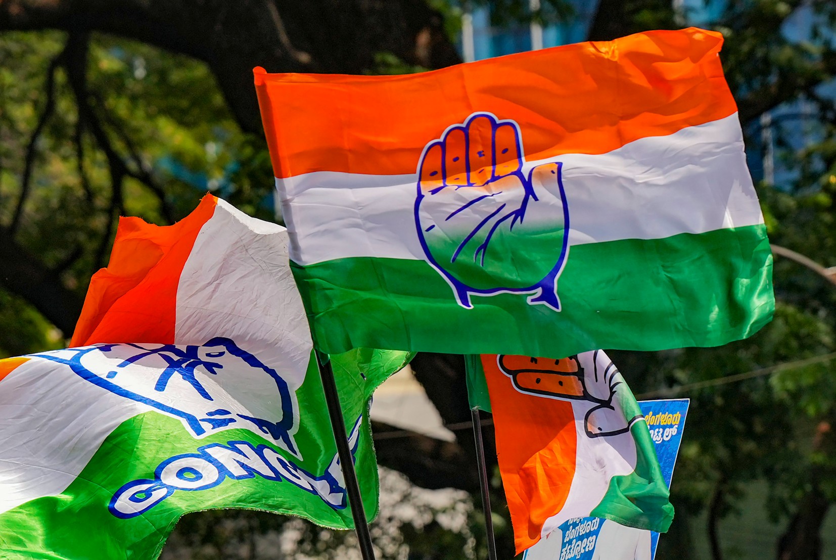 Congress Flag