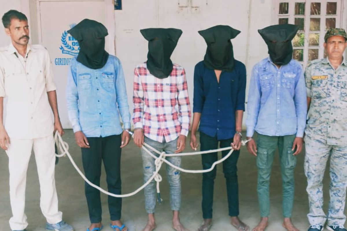 गिरफ्तार साइबर अपराधी