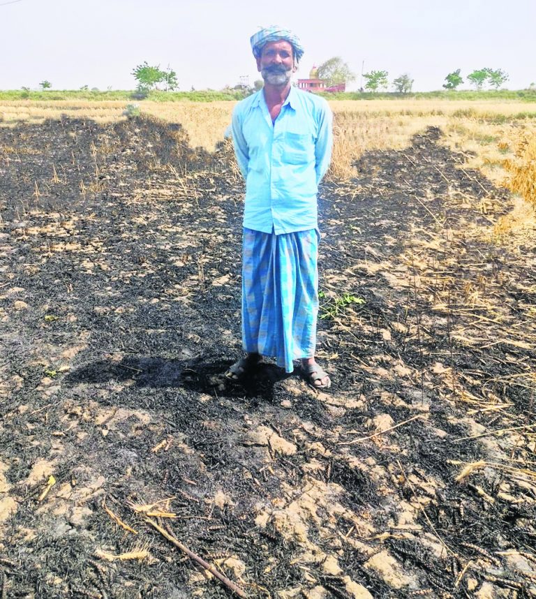 सीवान के हसनपुरा में 16 बीघे व सिसवन में पांच बीघे में लगी गेहूं की फसल जली