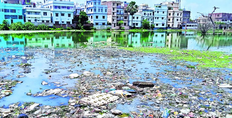सालों से खाली जमीनों में जमा है पानी, पनप रहे जहरीले मच्छर