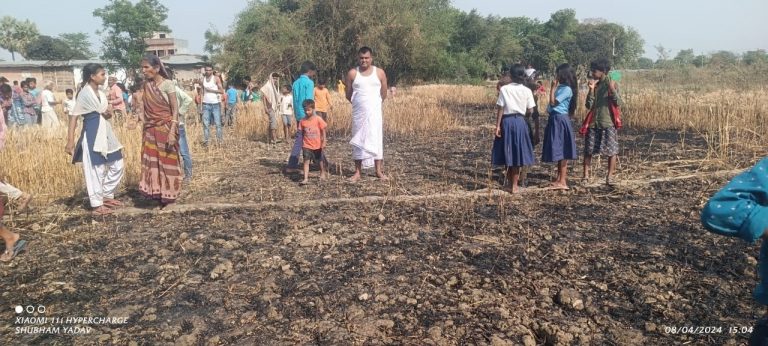 12 कठ्टा में लगी गेहूं की फसल जल कर राख