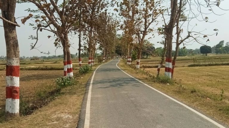 हीट वेव का क्रम जारी रहने का अनुमान