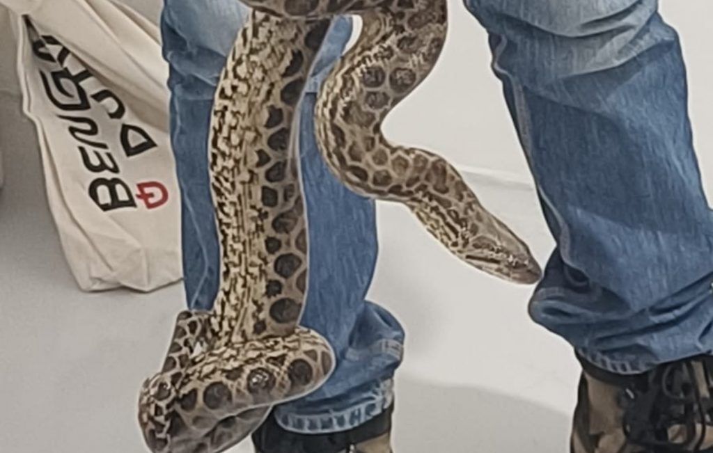 an image