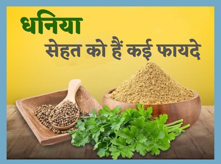 Dhania Benefits: धनिया के हैं कई फायदे, सिर्फ खाने का स्वाद ही नहीं बढ़ाता, बल्कि बनाता है सेहतमंद