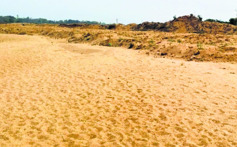 Jamui News : गर्मी में सूख रहे नदी-तालाब, आम लोगों के साथ पशु-पक्षी भी बेहाल