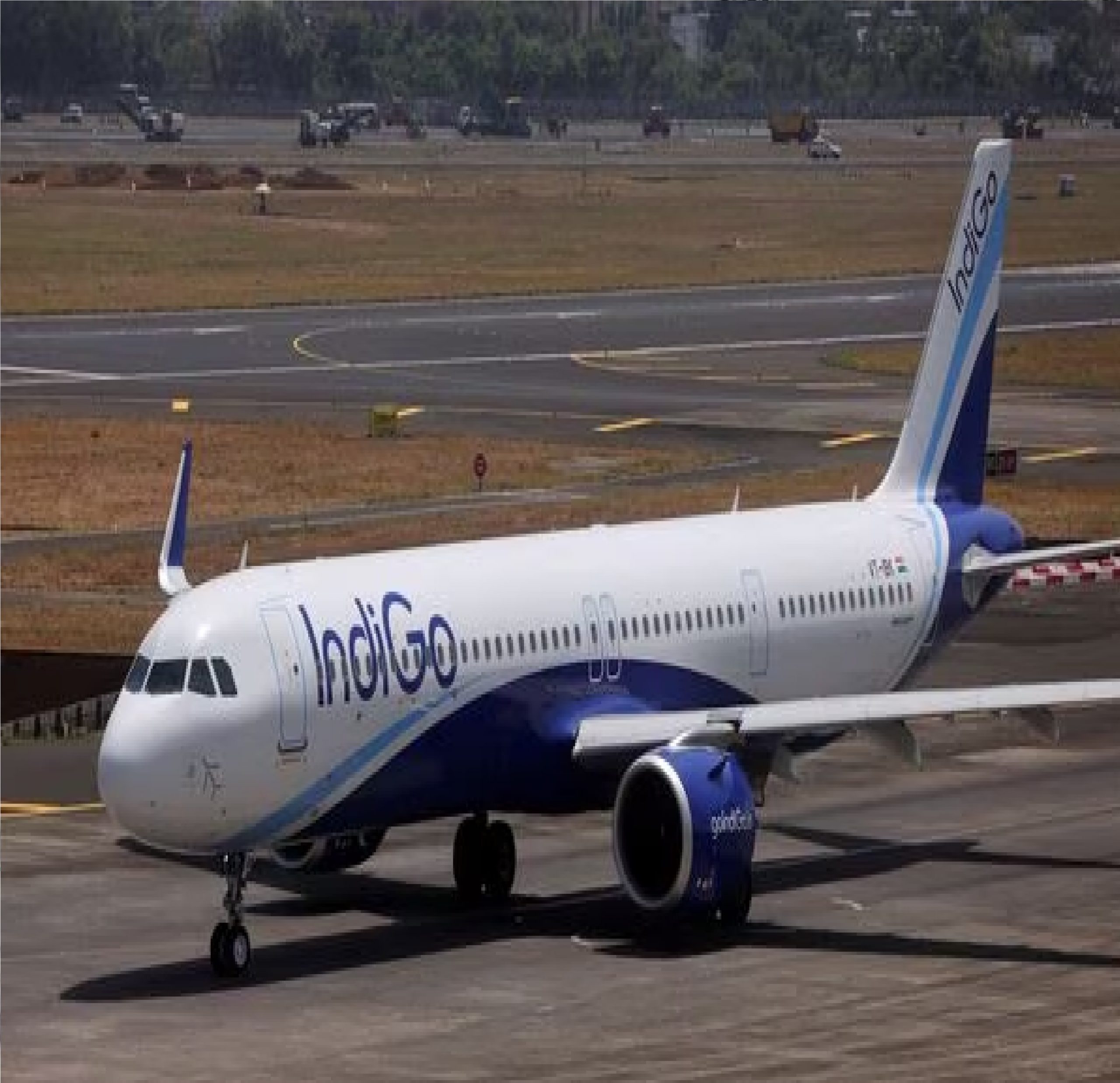 Indigo-1