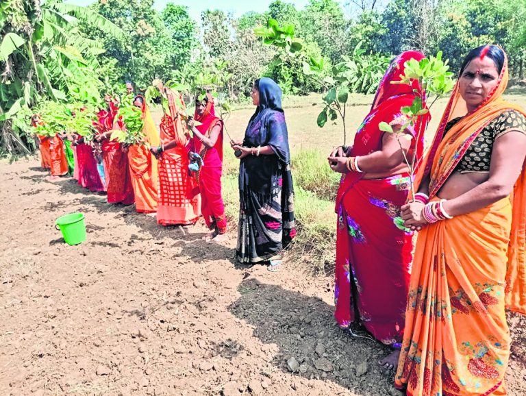 Patna : जीविका दीदियों ने एक दिन में लगाये 95 हजार पौधे लगा कर वोटराें को किया जागरूक