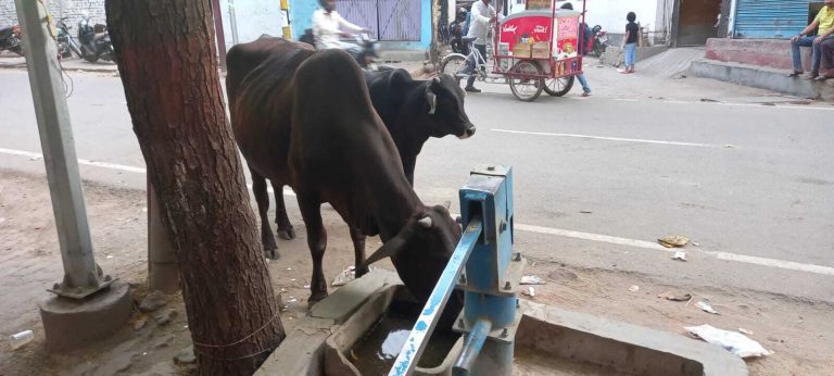 गया में कम नहीं हुई तपिश, वृद्ध महिला की मौत, लू लगने की आशंका