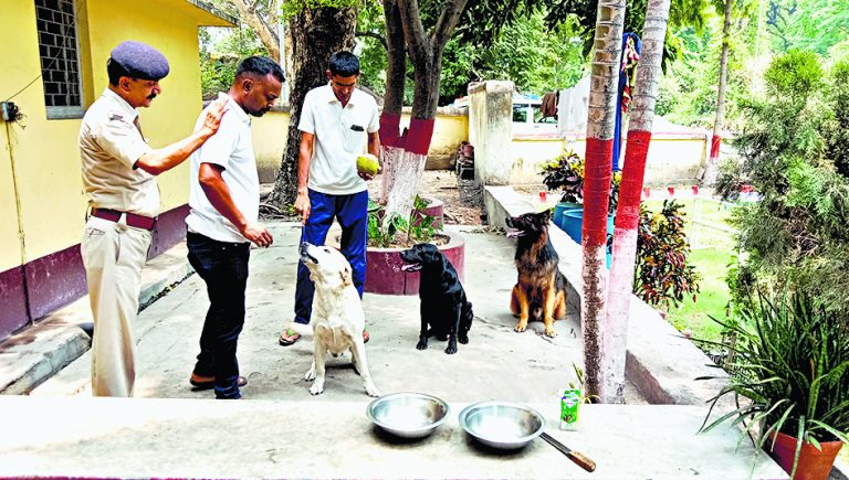 जसीडीह रेलवे स्टेशन के बाहर बनेगा डॉग कैनल, रहेंगे तीन डॉग