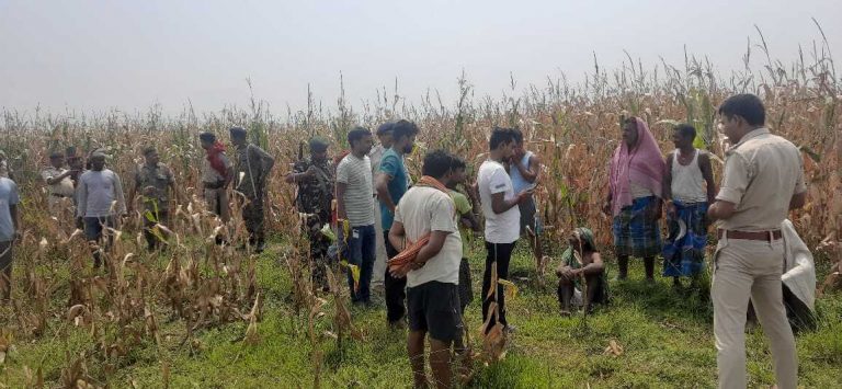 अर्धनग्न अवस्था में सिर कटी महिला की लाश बरामद, हत्या की गुत्थी सुलझाने डॉग स्क्वायड ने की जांच