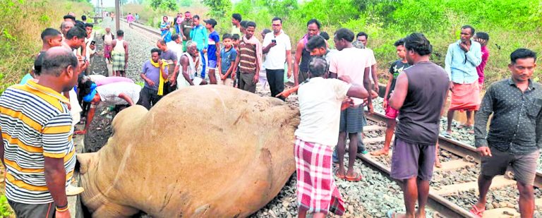 चांडिल में ट्रेन से कट कर हाथी की मौत, इंजन भी क्षतिग्रस्त