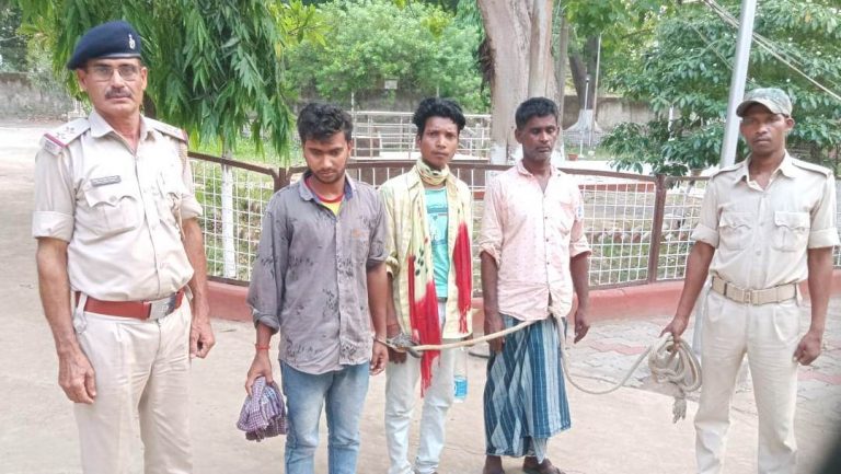 740 ग्राम गांजा जब्त, तीन लोगों को गिरफ्तार कर भेजा जेल