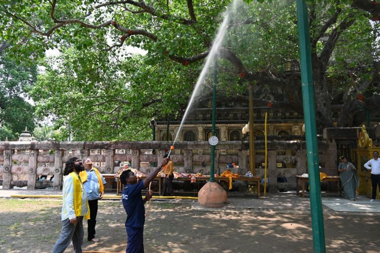 पूरी तरह स्वस्थ है बोधिवृक्ष, दवाओं का किया स्प्रे