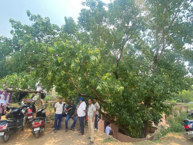 भुवनेश्वर : ओडिशा में तीन दिन तक छिटपुट बारिश, फिर बढ़ेगी गर्मी