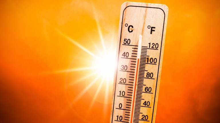Jharkhand Weather: झारखंड में भीषण गर्मी को लेकर रेड अलर्ट, 10 जिलों का तापमान 42 डिग्री पार, 17 जून से बारिश के आसार