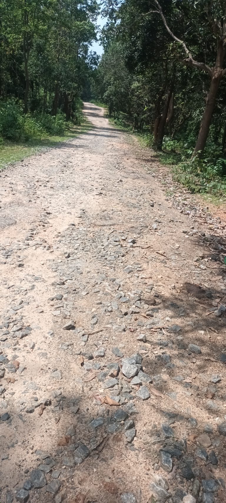 तपकारा से फटका जानेवाली सड़क जर्जर