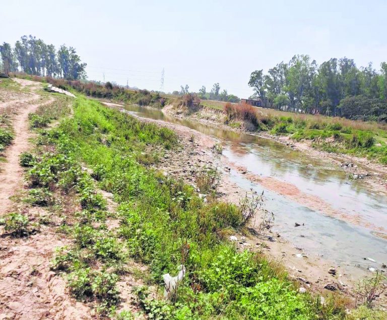 अधर में लटका गोरेया नदी पर चेकडैम बनाने का प्रस्ताव