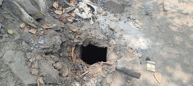 पांडेयडीह छह नंबर में बना गोफ, लोगों में दहशत