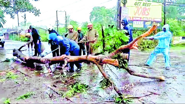 बंडेल में जीटी रोड पर पेड़ गिरने से यातायात बाधित