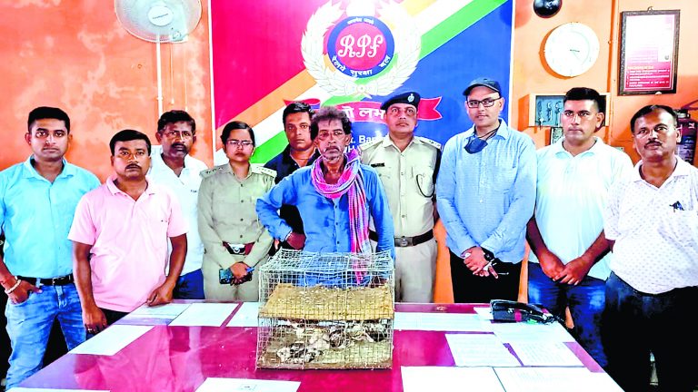 प्रतिबंधित पक्षियों की तस्करी के आरोप में एक गिरफ्तार