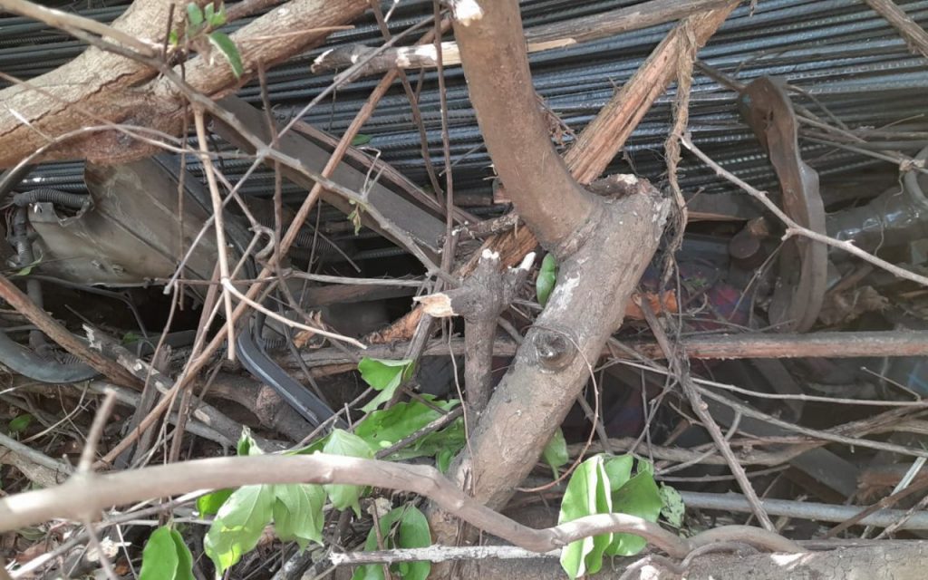an image