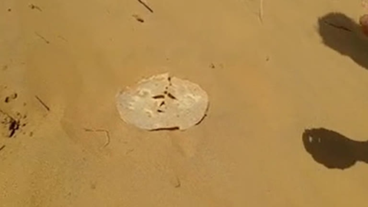 papad baked in sand