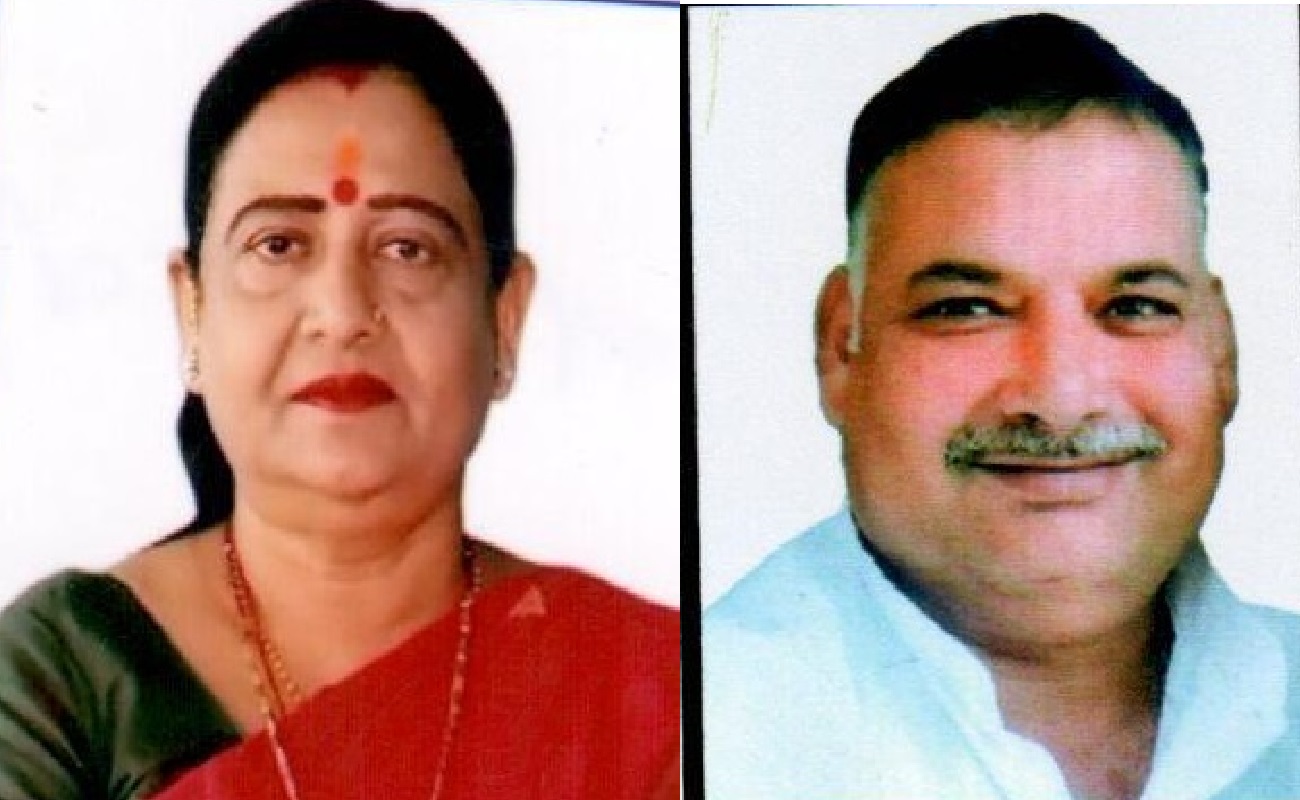 वैशाली लोकसभा