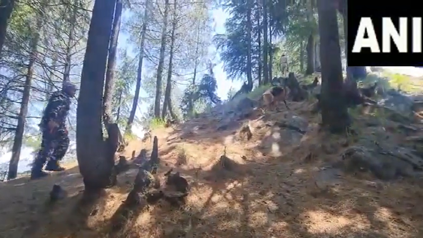Jammu Kashmir