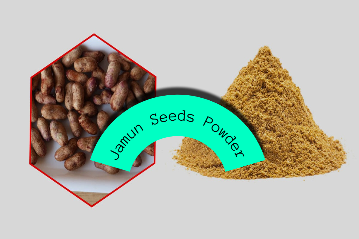 Jamun Seeds Powder
