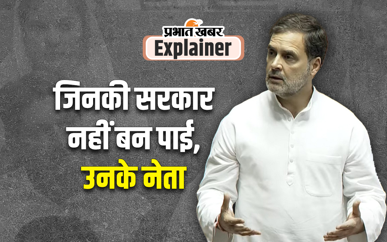 Rahul Gandhi In Lok sabha