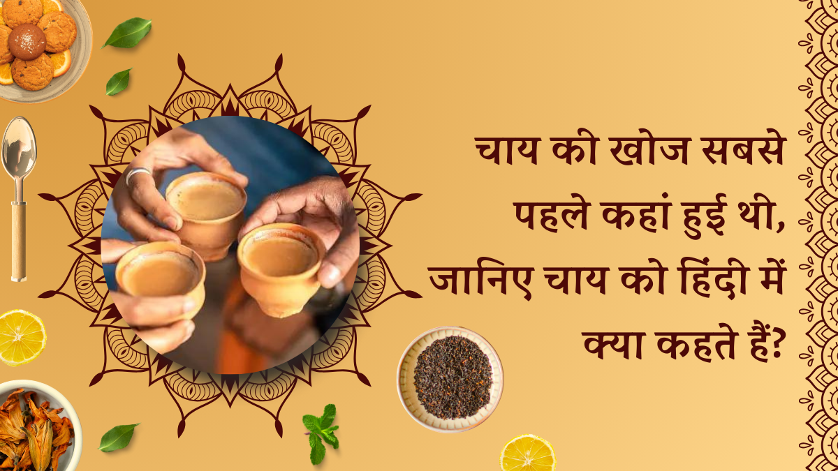चाय की खोज सबसे पहले कहां हुई थी, जानिए चाय को हिंदी में क्या कहते हैं
