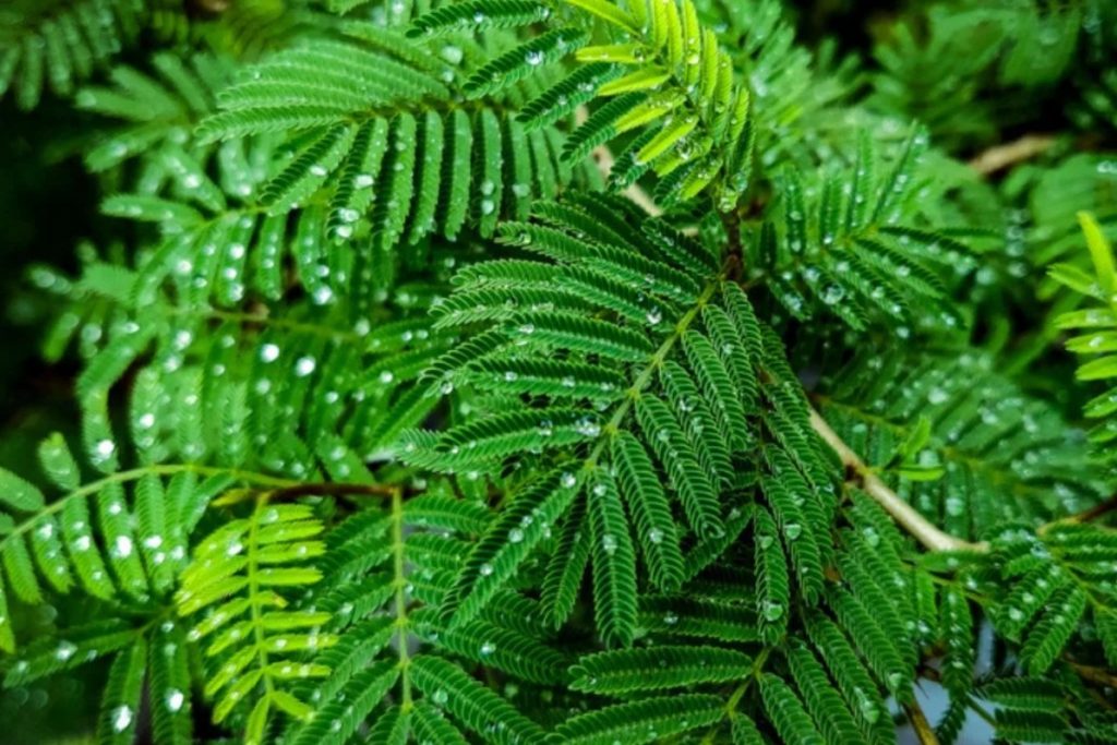 an image