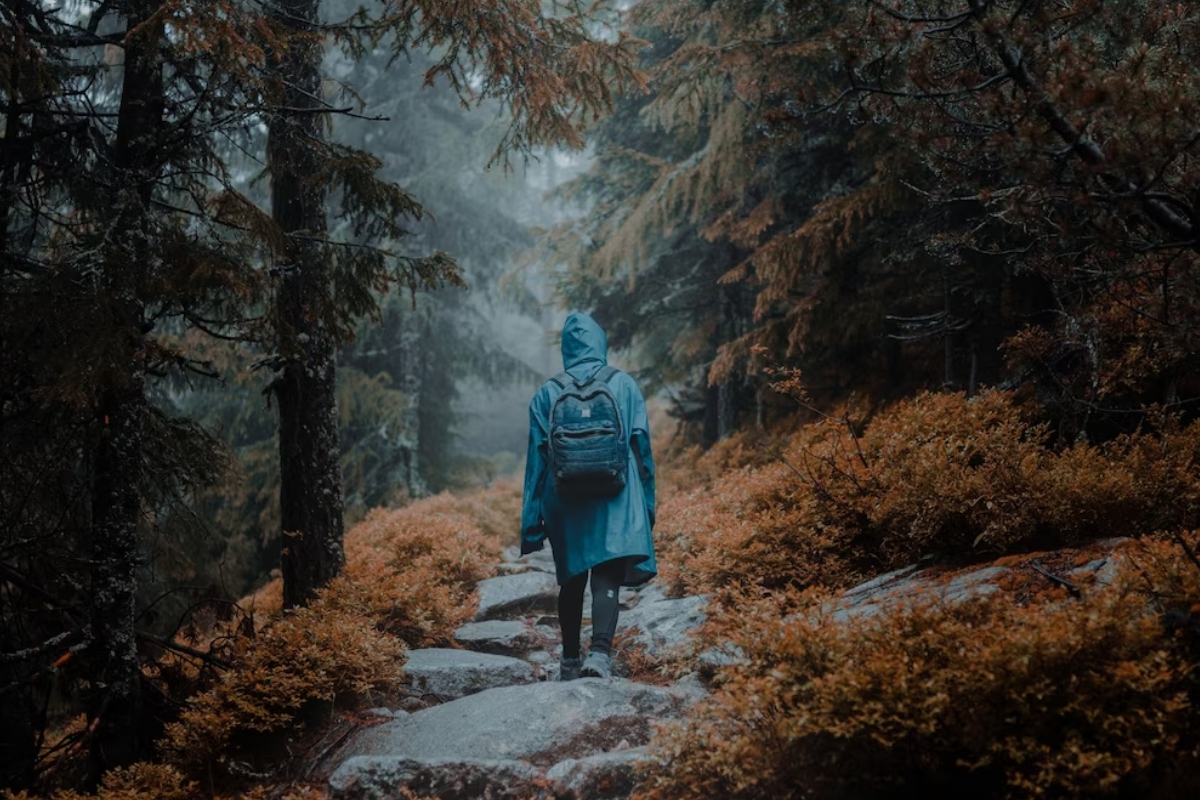 Travel Tips For Monsoon Trip