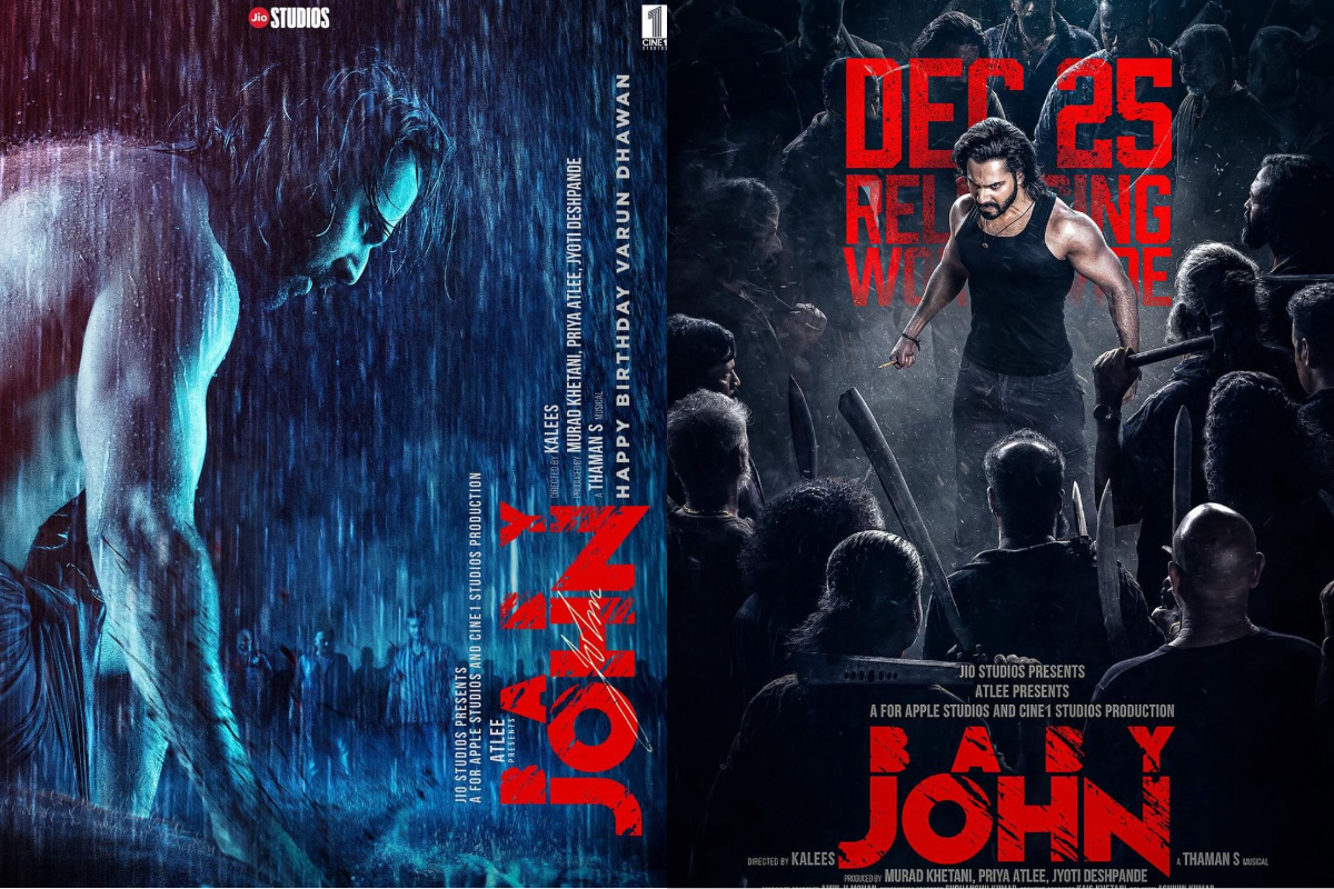 Baby John Lifetime Box Office Collection
