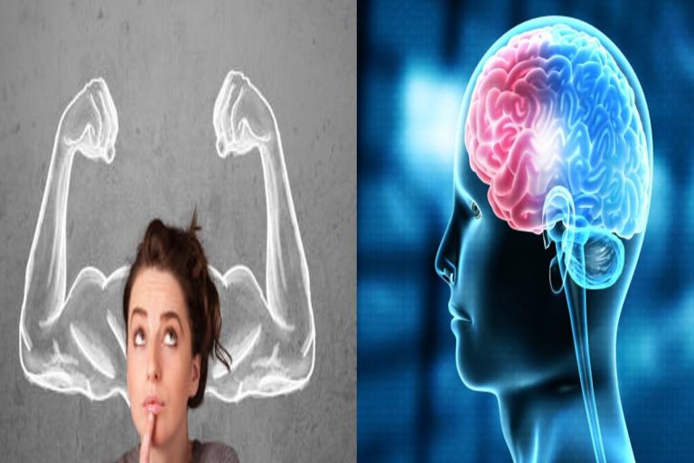 Brain Health : बुद्धि में विकास और याददाश्त तेज करने में कारगर यह छह फल
