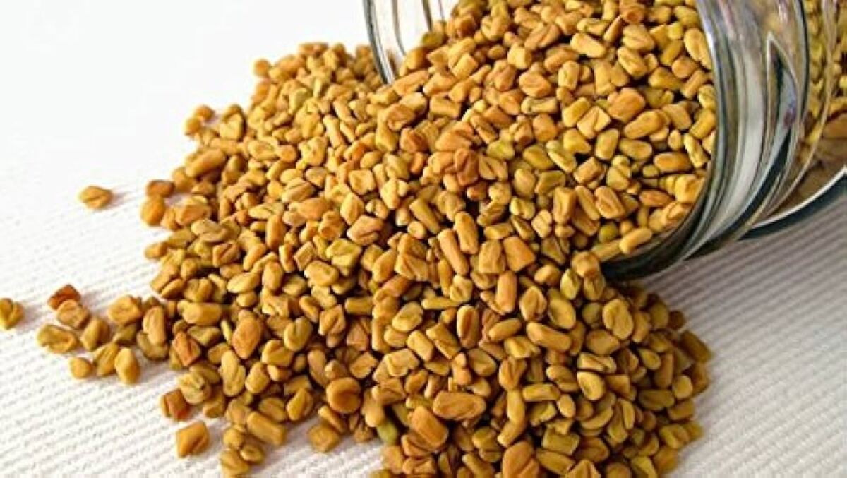 fenugreek seeds
