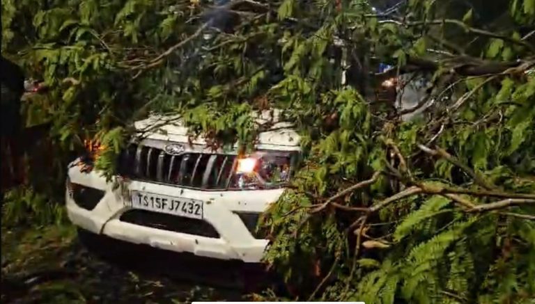 काल बैसाखी : राउरकेला, बंडामुंडा व लाठीकाटा में आंधी और बारिश से कई पेड़ उखड़े, घरों को नुकसान