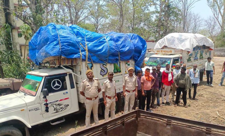 50 हजार का अवैध बीड़ी पत्ता लदा दो पिकअप वैन जब्त