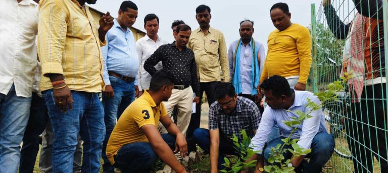 बीडीओ ने इल्डर्स क्लब परिसर में किया पौधरोपण