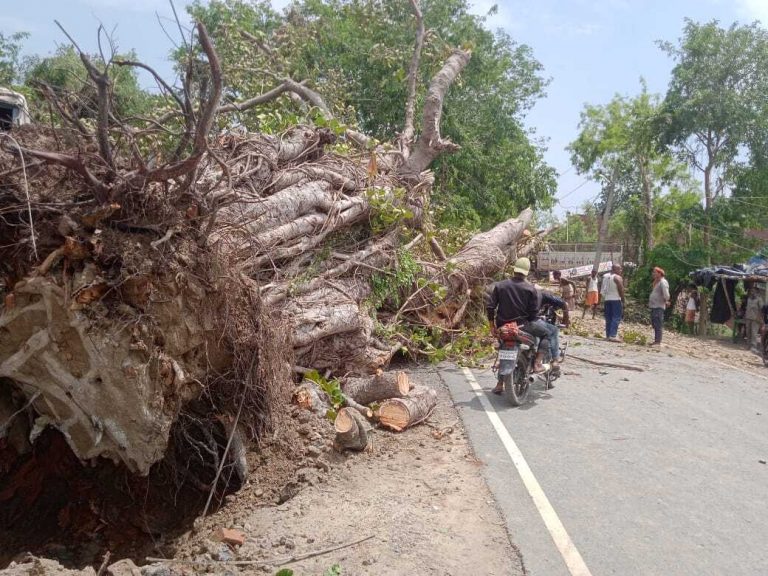 ओलावृष्टि ने मचायी भारी तबाही, गोदामों का चदरा उड़ जाने से लाखों की क्षति