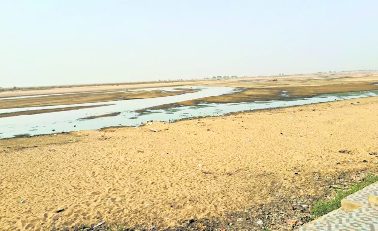 सोन नदी में पशु-पक्षियों के पीने लायक पानी नहीं