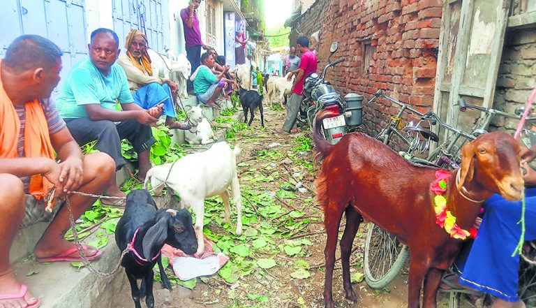 बकरीद की तैयारी को लेकर बाजारों में बढ़ी रौनक