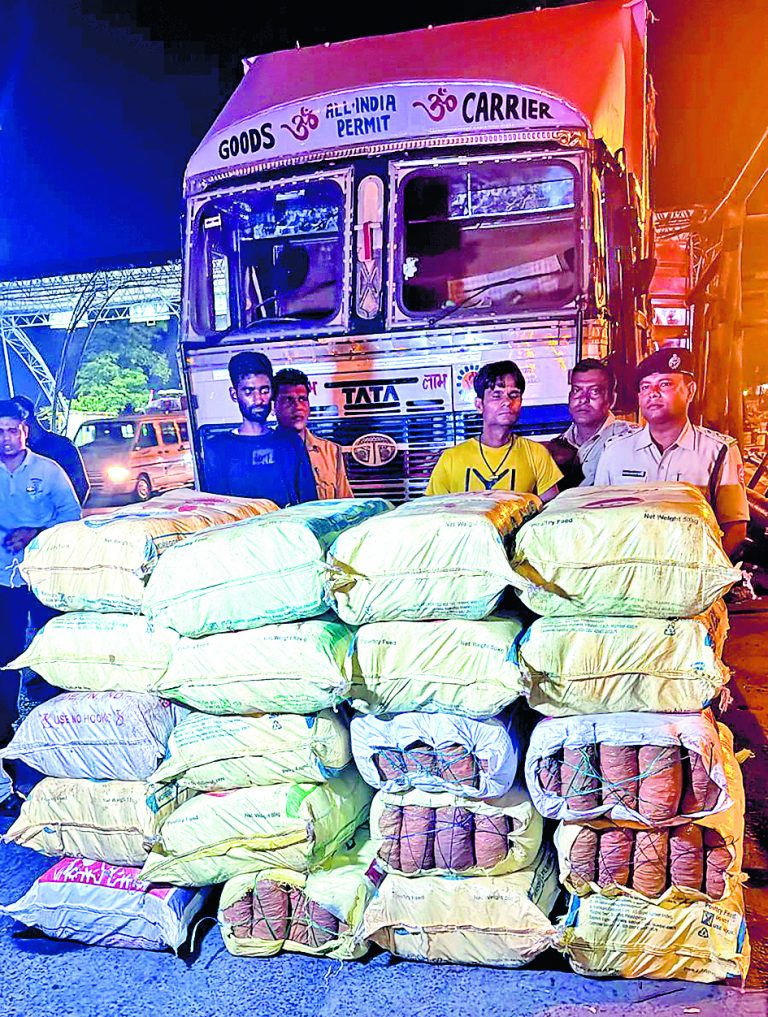 सांकराइल में 516 किलो गांजा जब्त, दो गिरफ्तार