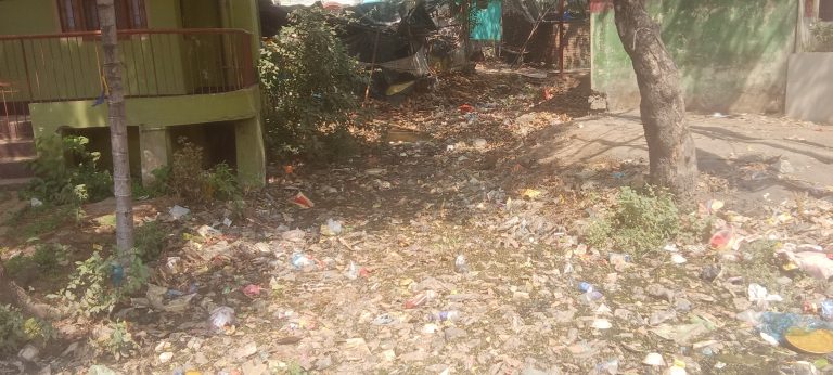 हाथीखाना मोड़ से नया टोला पुल तक नाले पर अतिक्रमण