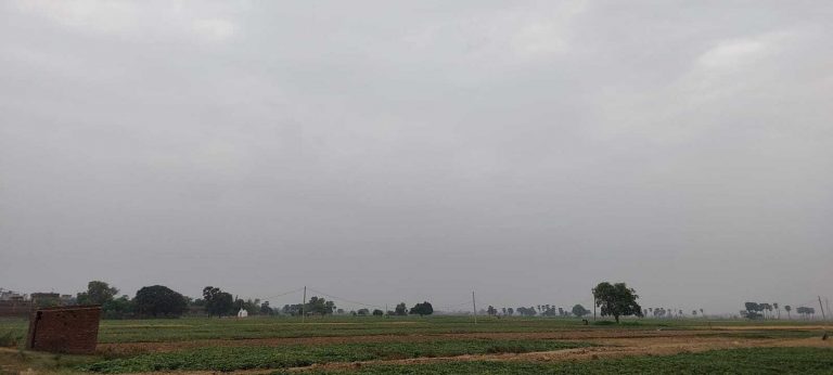 उमस भरी गर्मी से बेहाल रहे लोग, बिजली भी देती रही दगा